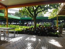 Boulevard de Comidas UPB