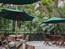 Café Del Bosque