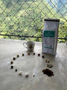 Café Serrania