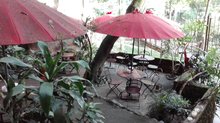 Café Zorba