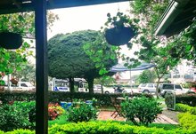 Cafetería Villas del Río