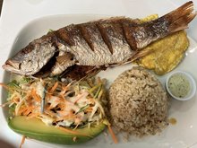 Cariniana - Premium Plaza