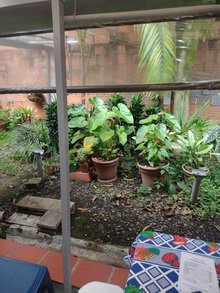 Casa Abuela Sofía