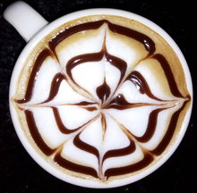 Catando Cafe
