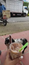 Chicha Venezolana Chicheatee