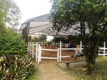 Club Terranova