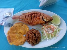 Delicias del Mar y Rio