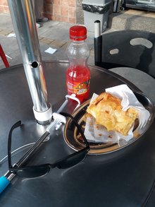 Domicipollo