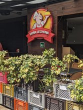 Doña Lechona