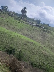 Donde stiven