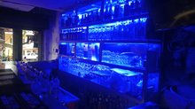 Drink shot's