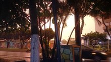 EL ALMENDRO