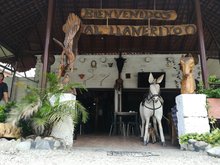 El Llanerito - Sabaneta