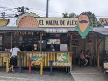 El Maizal de Alex