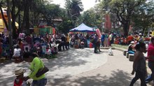 EL ZAR DEL APANADO