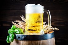Ferment Arte