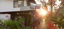 Food Company Delivery Gourmet