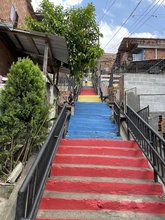 La Carpa Azul