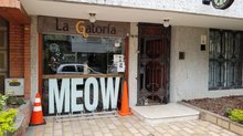 La Gatoria Cat Cafe