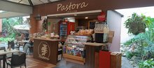 La Pastora. El café de la Torre