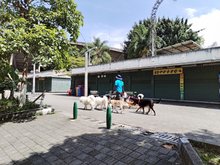 Las Delicias De Merce