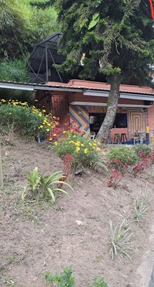 LAS TAPAS