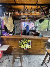 LEMON TREE