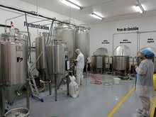 local brewers