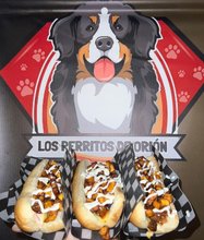 Los perritos de Orión