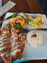 Mar y Tierra