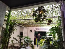 Mezzaluna