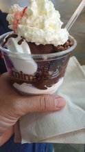 Mimo's