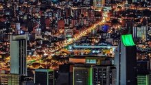 Monkey inc.medellin