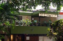 Monstera