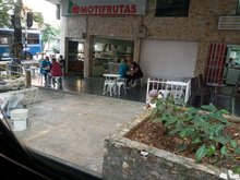 Motifrutas