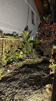 Oasis Café Vivero