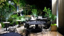 Opulencia