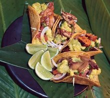 Papa Cadabra