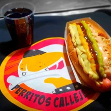 Perritos callejeros