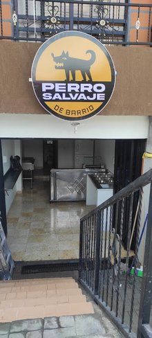 Perro Salvaje