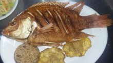 Pescado Mojado