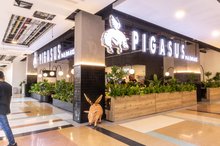 Pigasus centro comercial san nicolas