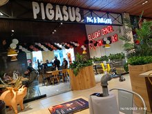 Pigasus Viva Palmas j