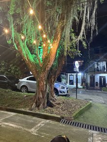 Pizzeria capri envigado