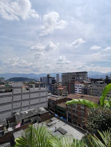 Plantae rooftop