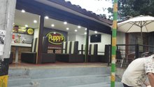 Puppys sabaneta oficial