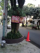 Restaurante de Doña Nora