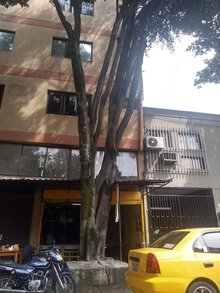 Restaurante Del Mar A Su Paladar