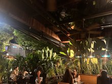 Restaurante La Causa El Poblado