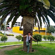 Restaurante Las Acacias
